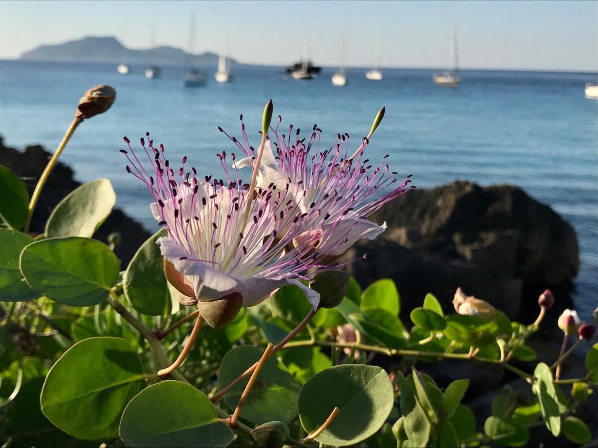 Zaffiro Lavico Rooms Etna Nature Sea Acireale Dış mekan fotoğraf